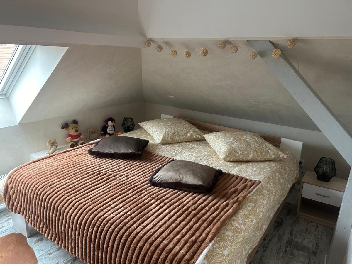 Suite Willa Chez Willi Niederschaeffolsheim المظهر الخارجي الصورة